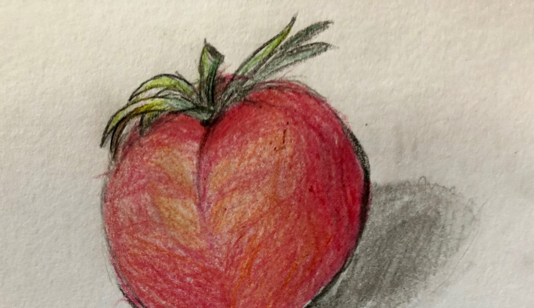 Atelier enfant/ado "dessin au crayon de couleurs" session 2