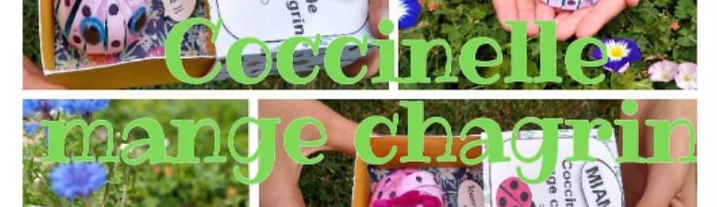 Atelier enfant "coccinelle mange chagrin"