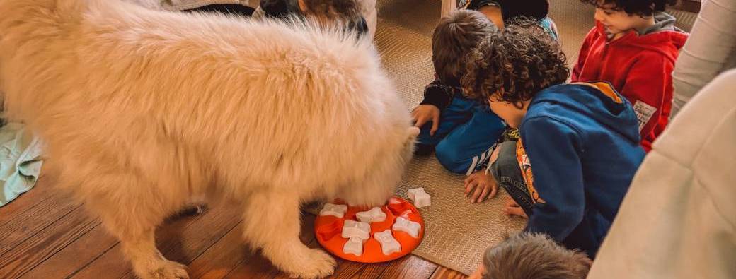 Atelier Enfants et animaux (chiens) 