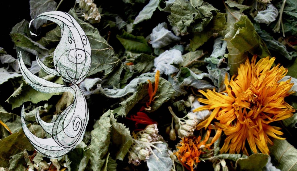 ATELIER - Fabrication de ta tisane 