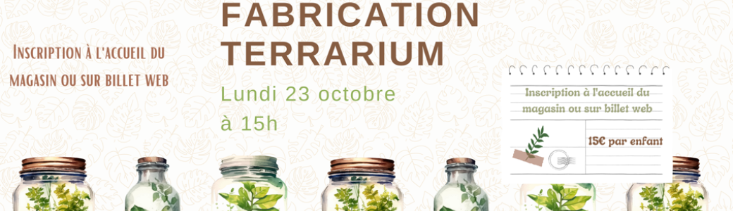 Atelier fabrication de terrarium 