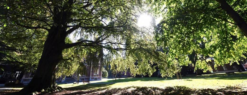Atelier familier itinérant : croquer son paysage à Blendecques