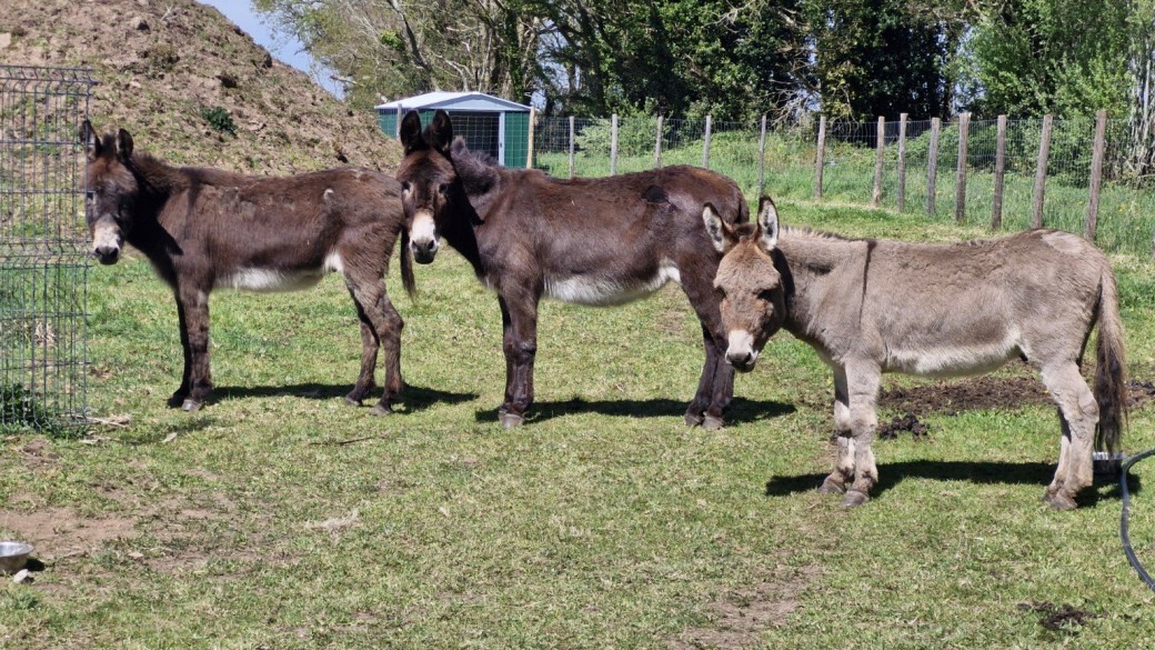 atelier ferme vacance de la Toussaint