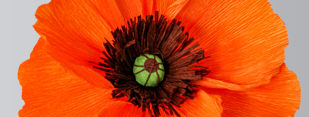 ATELIER FLEUR EN PAPIER