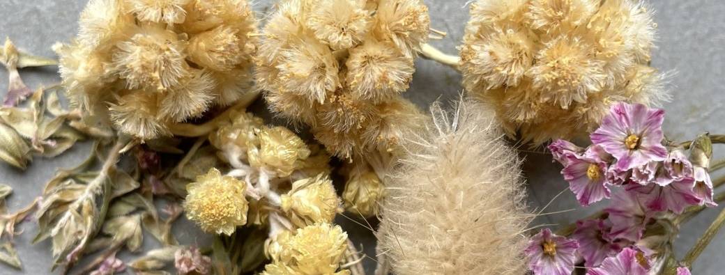 Atelier Fleurs aromatiques