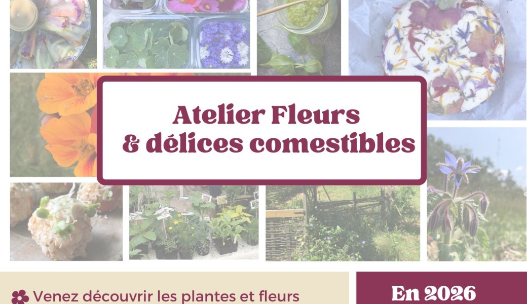 Atelier Fleurs et délices comestibles