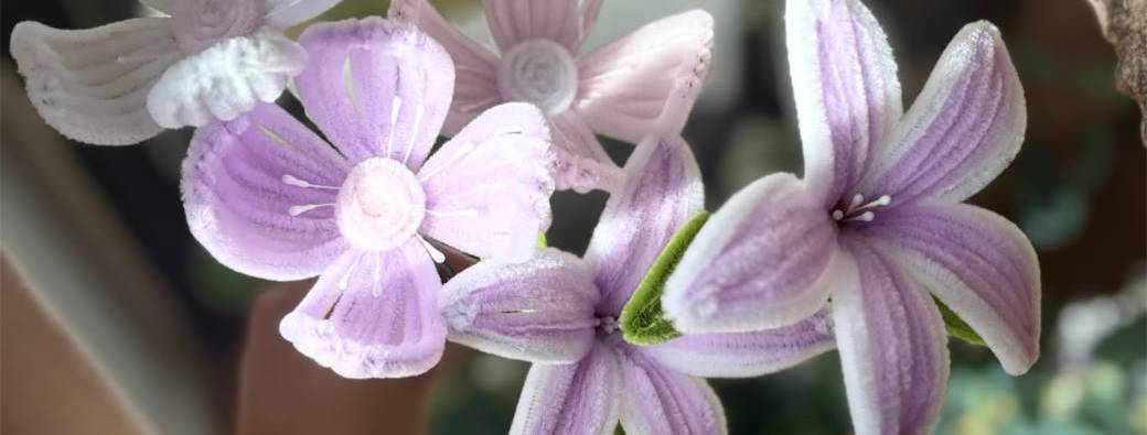 Atelier fleurs fil chenille Nantes