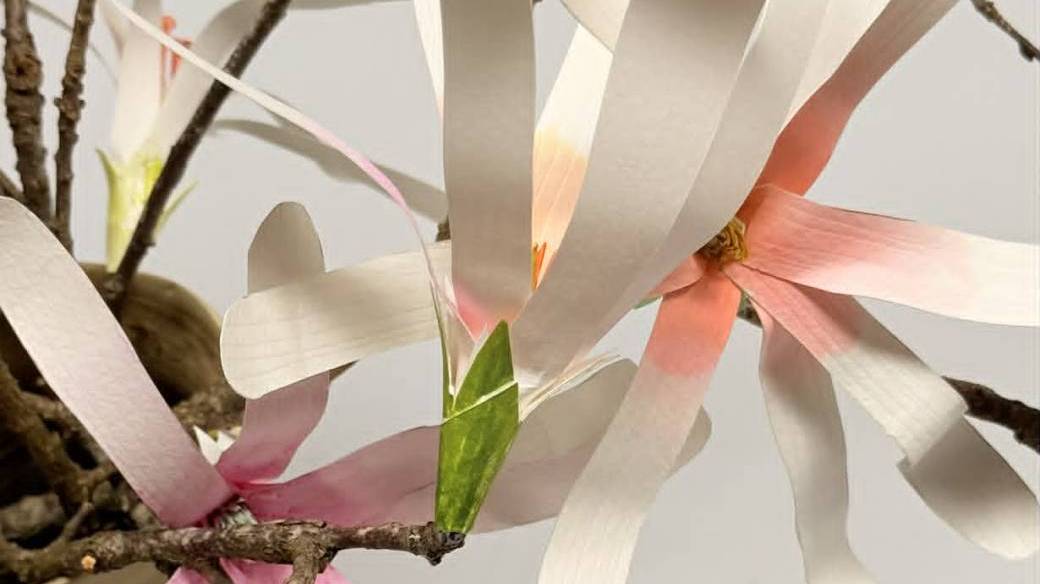 Atelier - Floraison Délicate