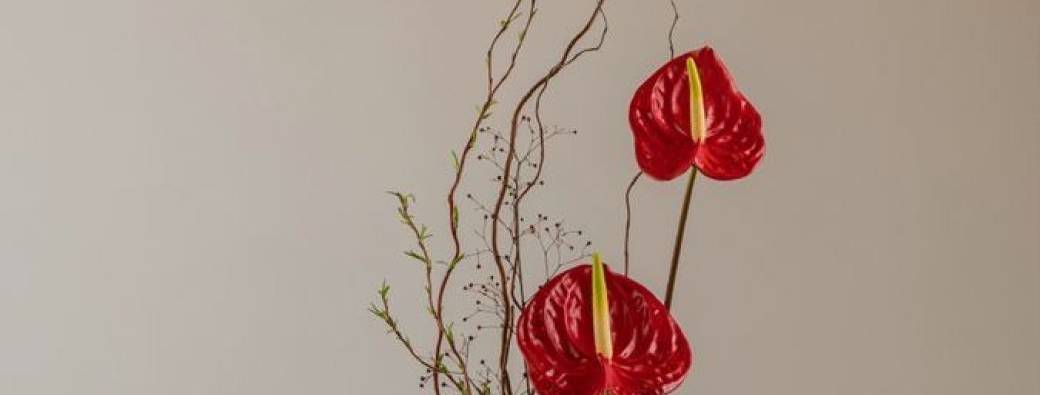 Atelier floral japonais - Inspiration Ikebana et Poésie