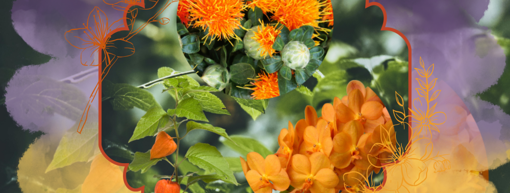 Atelier floral Toulouse Chaubet
