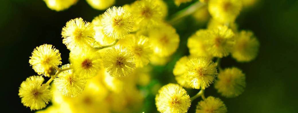Atelier Floral : un bouquet à offrir, un moment à partager