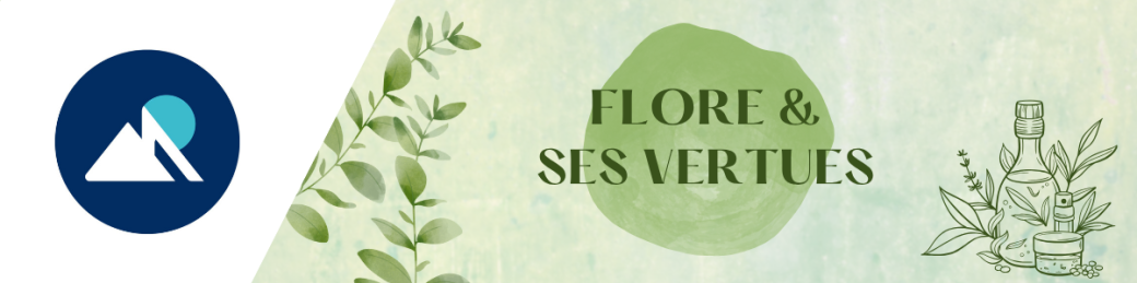 Ateliers flore & ses vertues