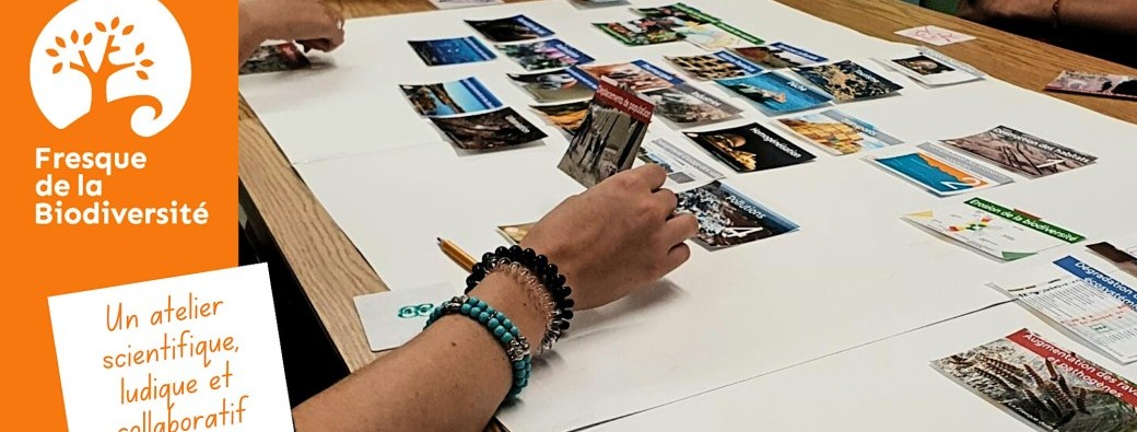 Atelier Fresque de la Biodiversité Inter-Organisation à Le Mans (3h30)
