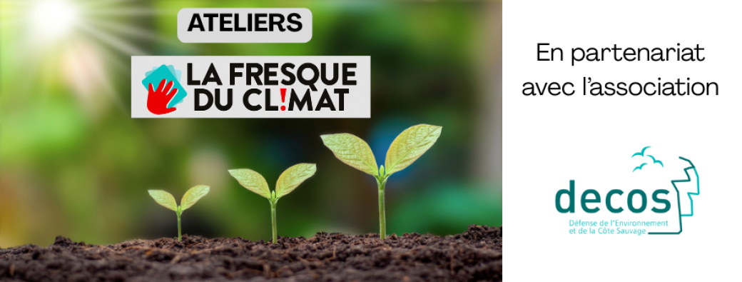 Atelier "Fresque du climat"