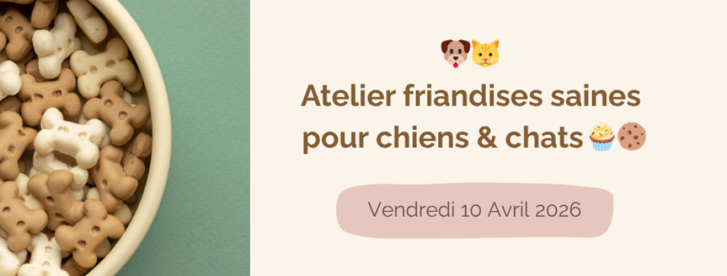 Atelier friandises saines pour chiens & chats 