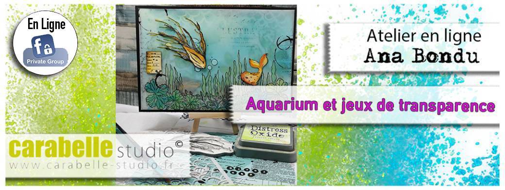 Mini atelier : Aquarium 
