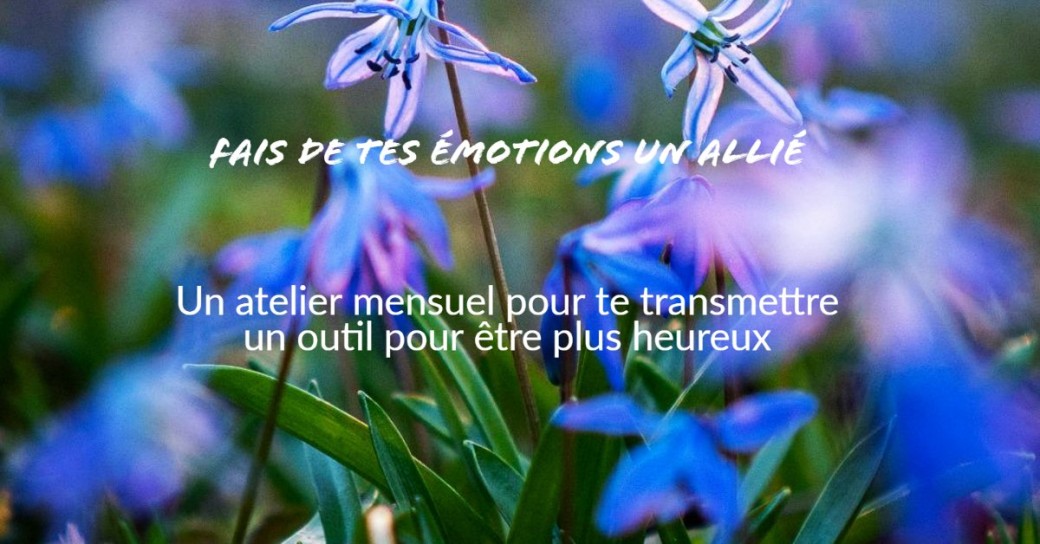 atelier gestion des émotions pour se libérer des énergies négatives