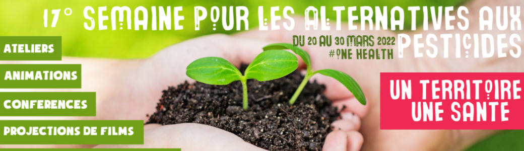 Atelier Graines germées (dans le cadre du troc de graines et de plantes)
