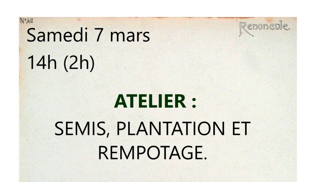 Atelier grainothèque