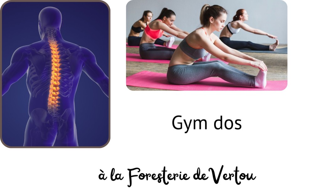Atelier Gym dos