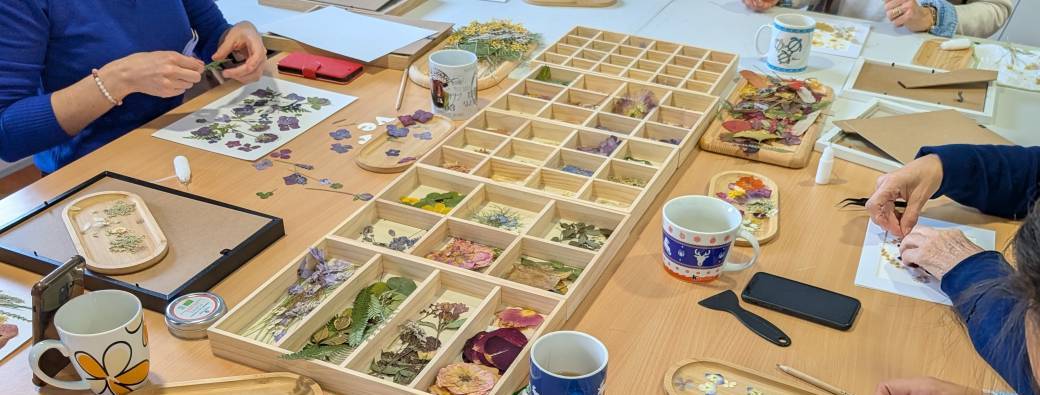 Atelier herbier avec Sabine de Fleurs des choux