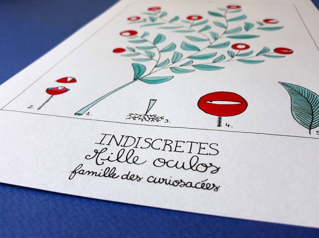 Atelier herbier imaginaire