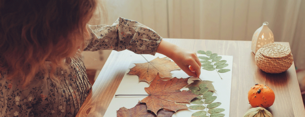 Atelier Herbier Magique - Lyon - Septembre