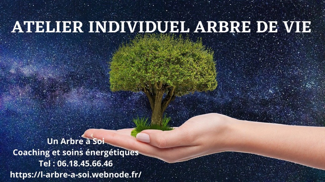 Atelier individuel Arbre de Vie