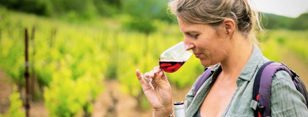Initiation aux vins biodynamiques & Apprentissage des accords mets-vins   