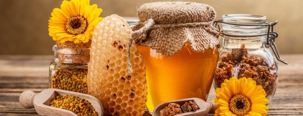 Atelier initiation à l'Apithérapie : les bienfaits des produits de la ruche