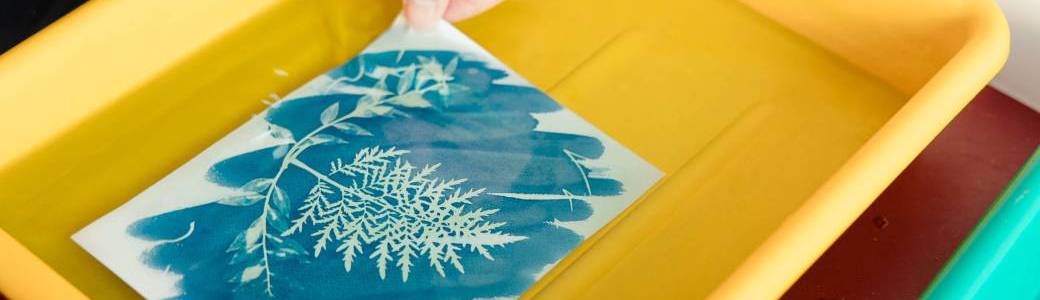 Atelier initiation au cyanotype