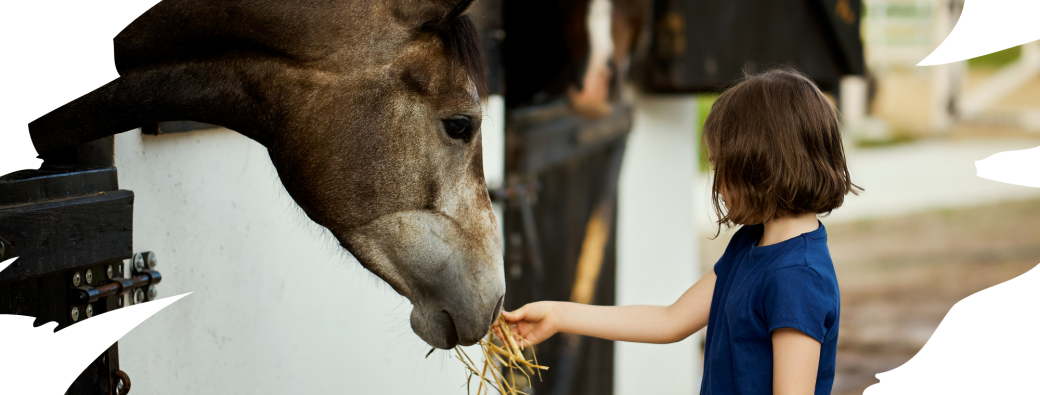 Atelier innovation dans la nutrition équine