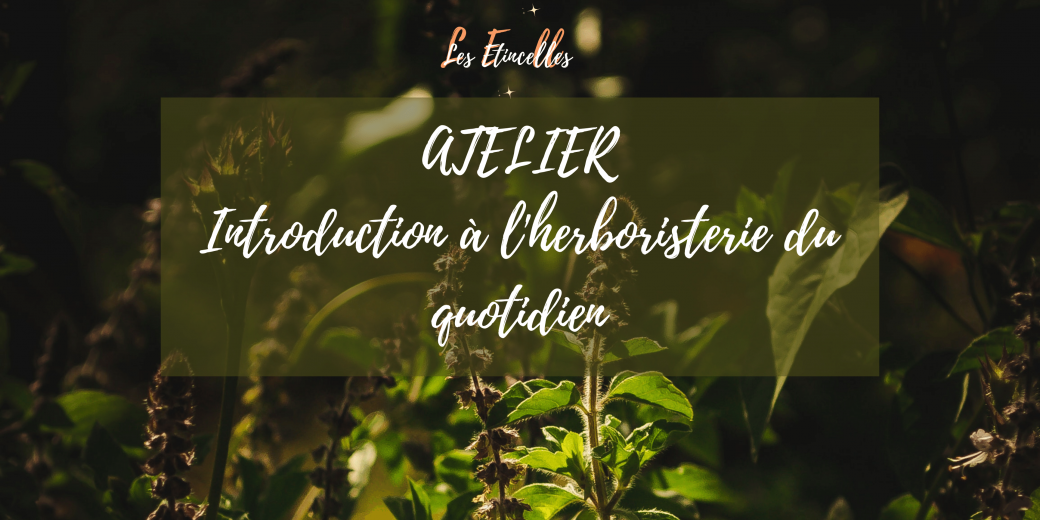 Atelier - Introduction à l'herboristerie du quotidien