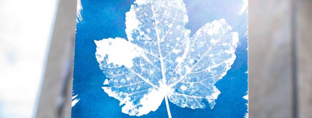 Atelier : I've got the bleu !