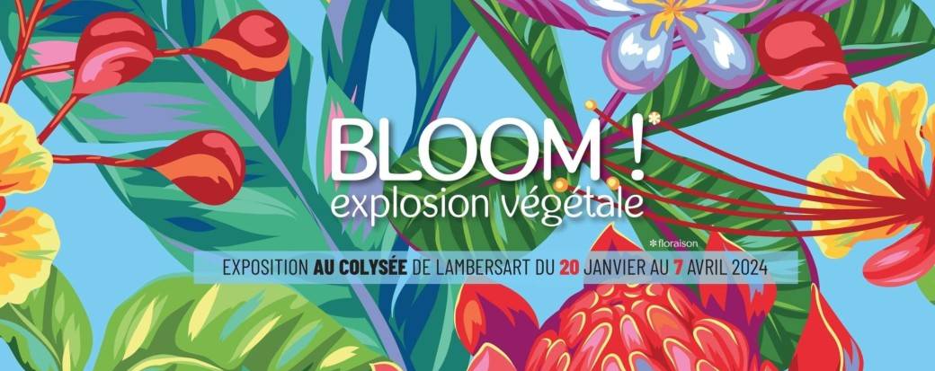 Atelier jardinage adulte - Autour des fruitiers