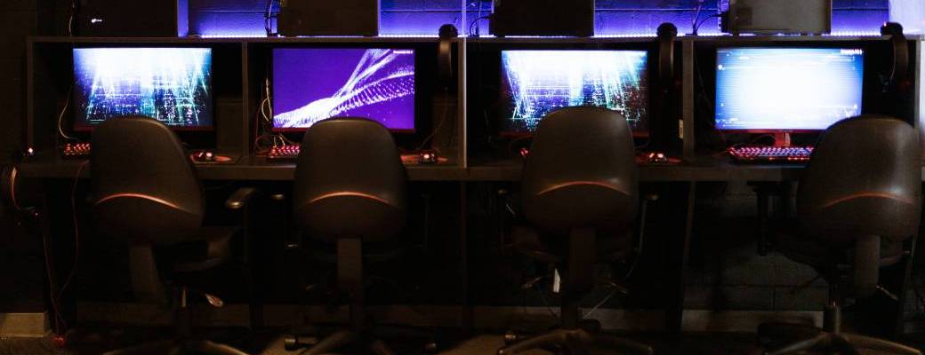 Atelier jeux vidéo : FallGuys sur PC