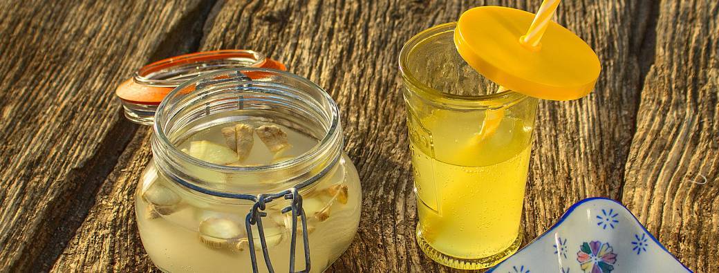 Atelier Kefir & Ginger Ale - Rennes