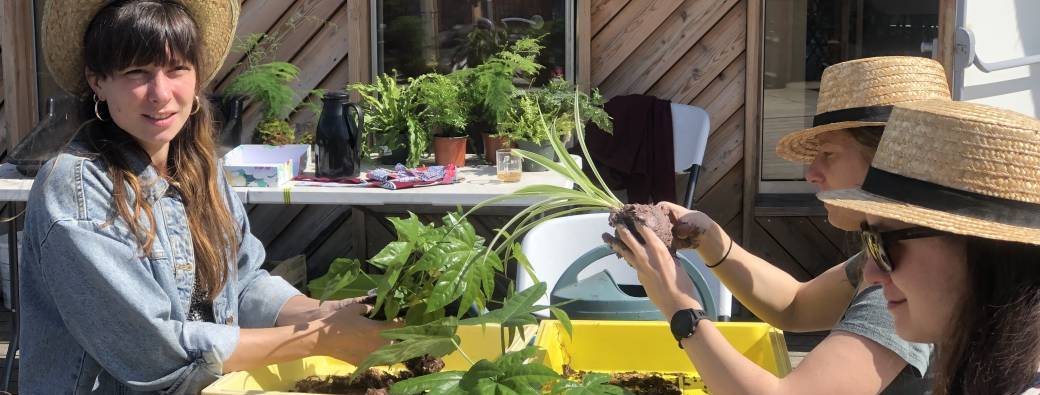 Atelier Kokédama au Jardin 21