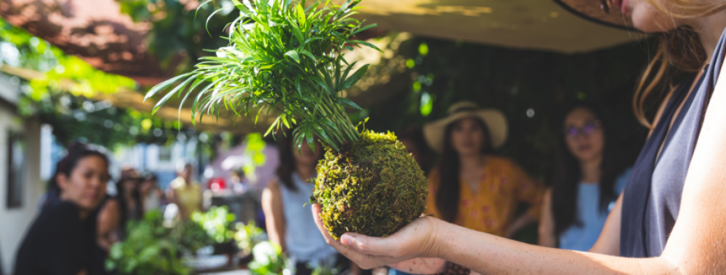 Atelier Kokédama - Georgette Villejuif