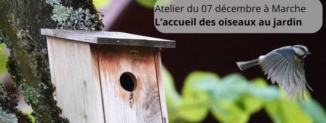 Atelier : L’accueil des oiseaux au jardin : réalisation de nichoirs, mangeoires
