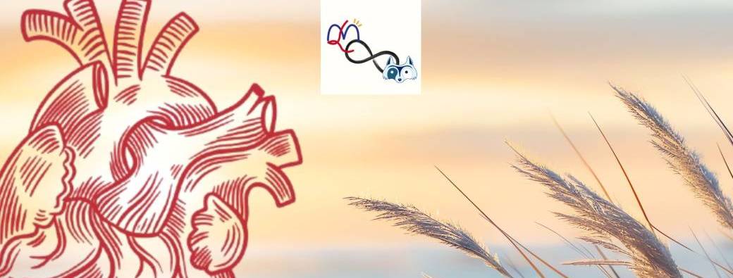  Atelier - l’été du coeur : Pacifier le feu pour cultiver la joie