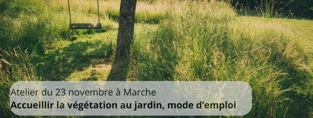 Atelier : La végétalisation spontanée et la gestion différenciée au jardin