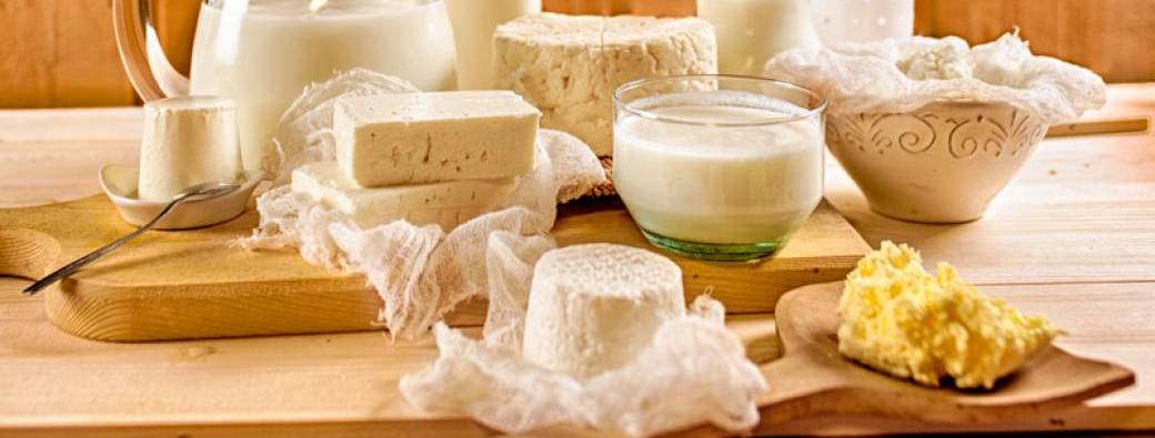 Atelier beurre maison, ricotta et kéfir de lait