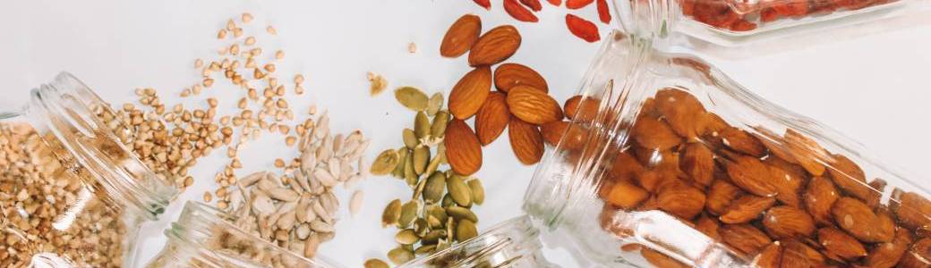 L'Alimentation du Cerveau