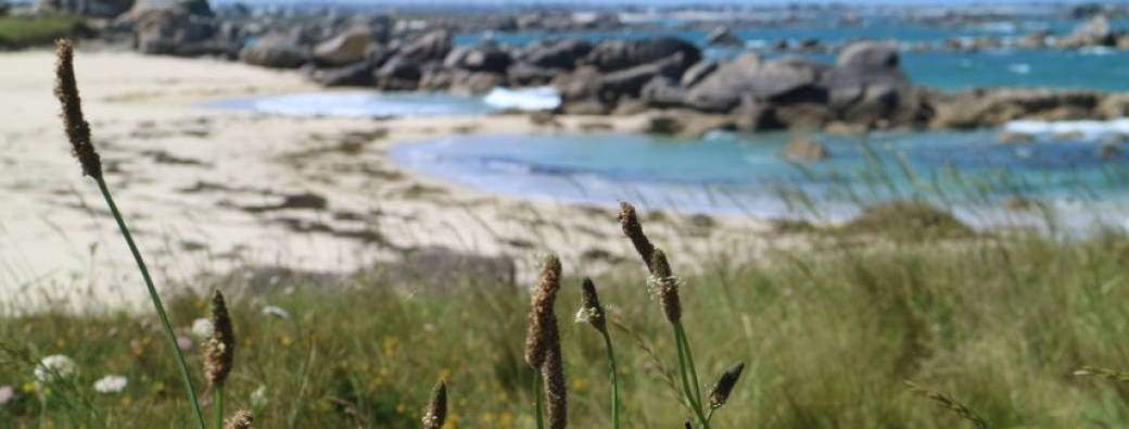 Atelier land'art marin