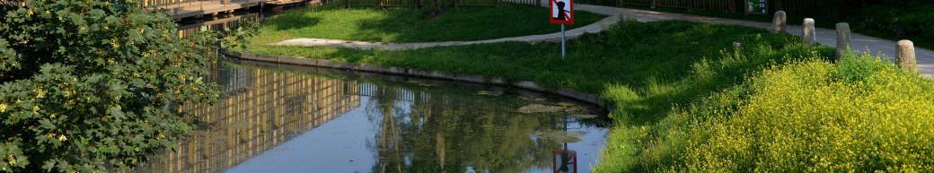 ATELIER | Le réveil de la mare  (6-10 ans)