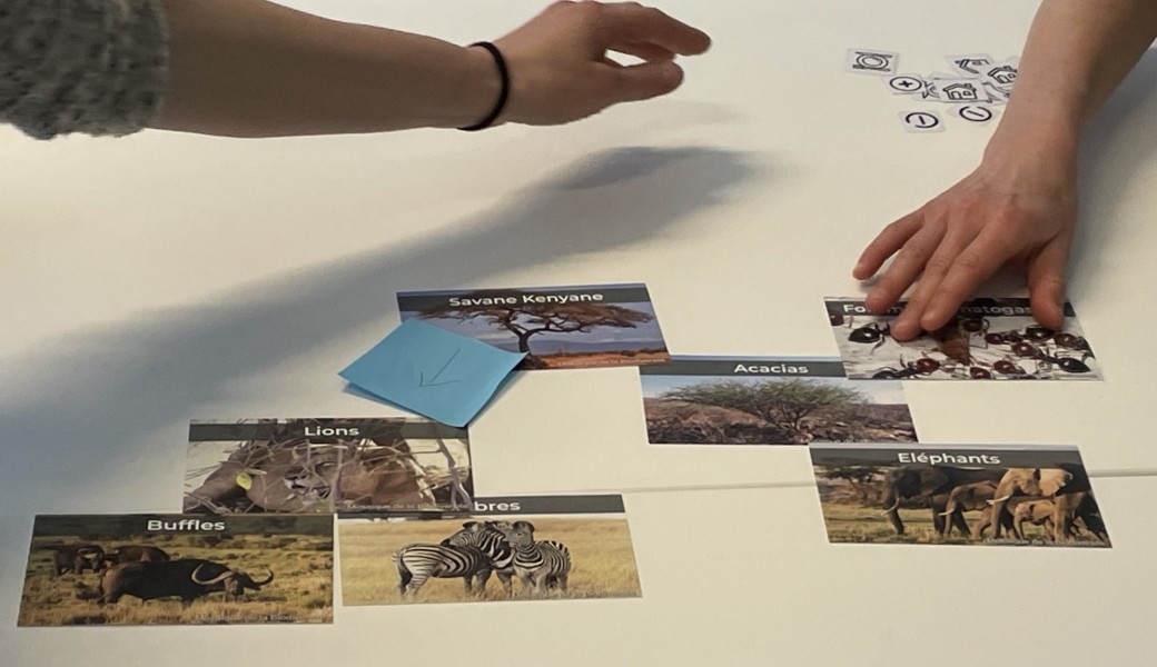 Atelier les dominos de la biodiversité et sortie de terrain