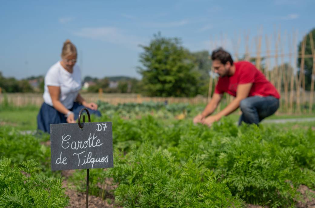 ATELIER | Les petites mains vertes (6-10 ans)