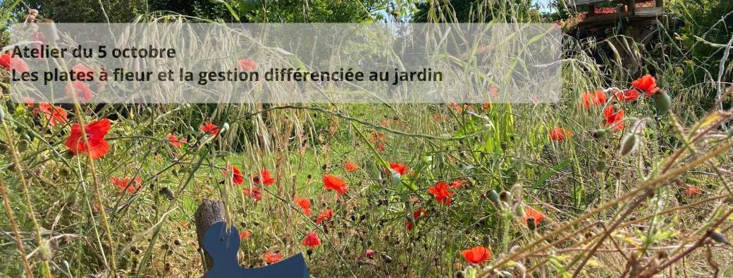 Atelier : Les plantes et fleurs au jardin et la gestion différenciée 