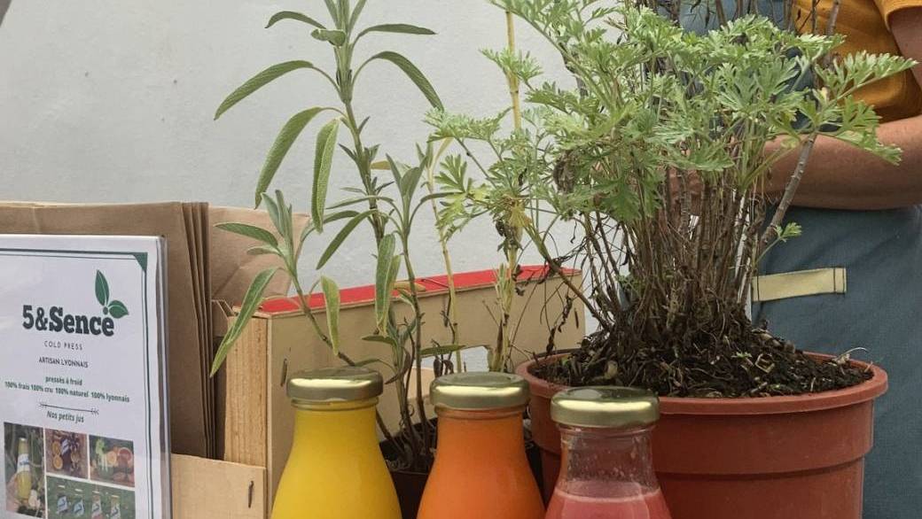 Atelier les remèdes de grand-mère au travers des plantes 